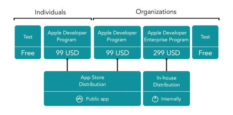 Apple developer program что это