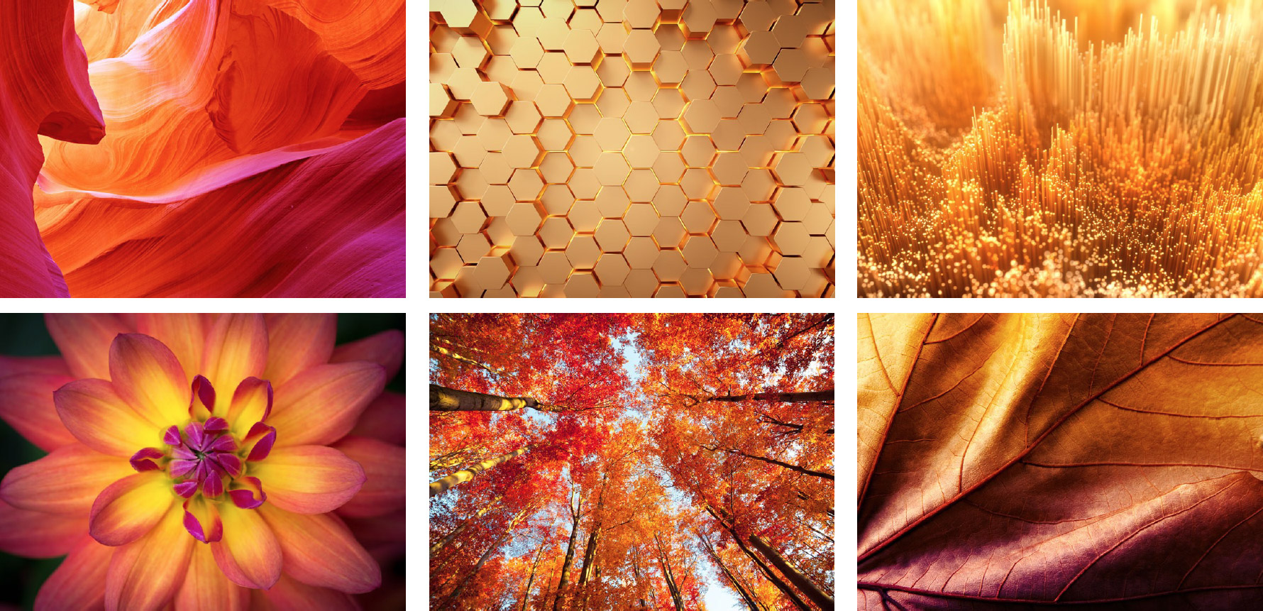 4D v18: The story behind the logo design - 4D Blog