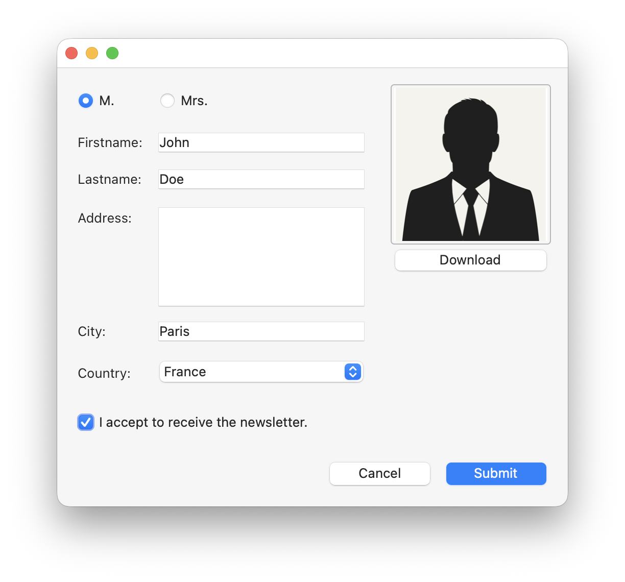 User form with Classic macOS look